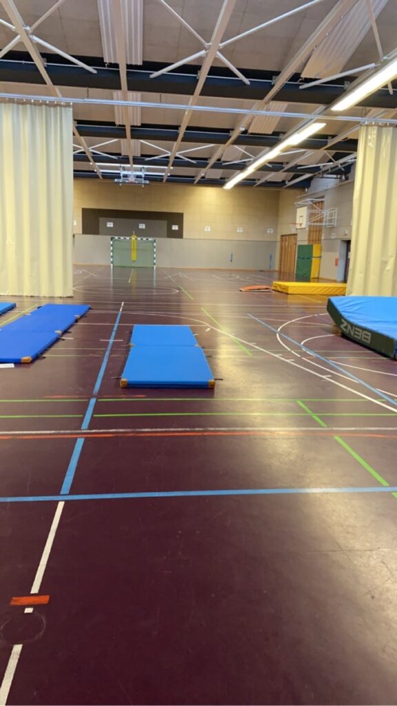 Stage pédagogique en Allemagne : retour d’expérience des étudiants de l’UFR STAPS !