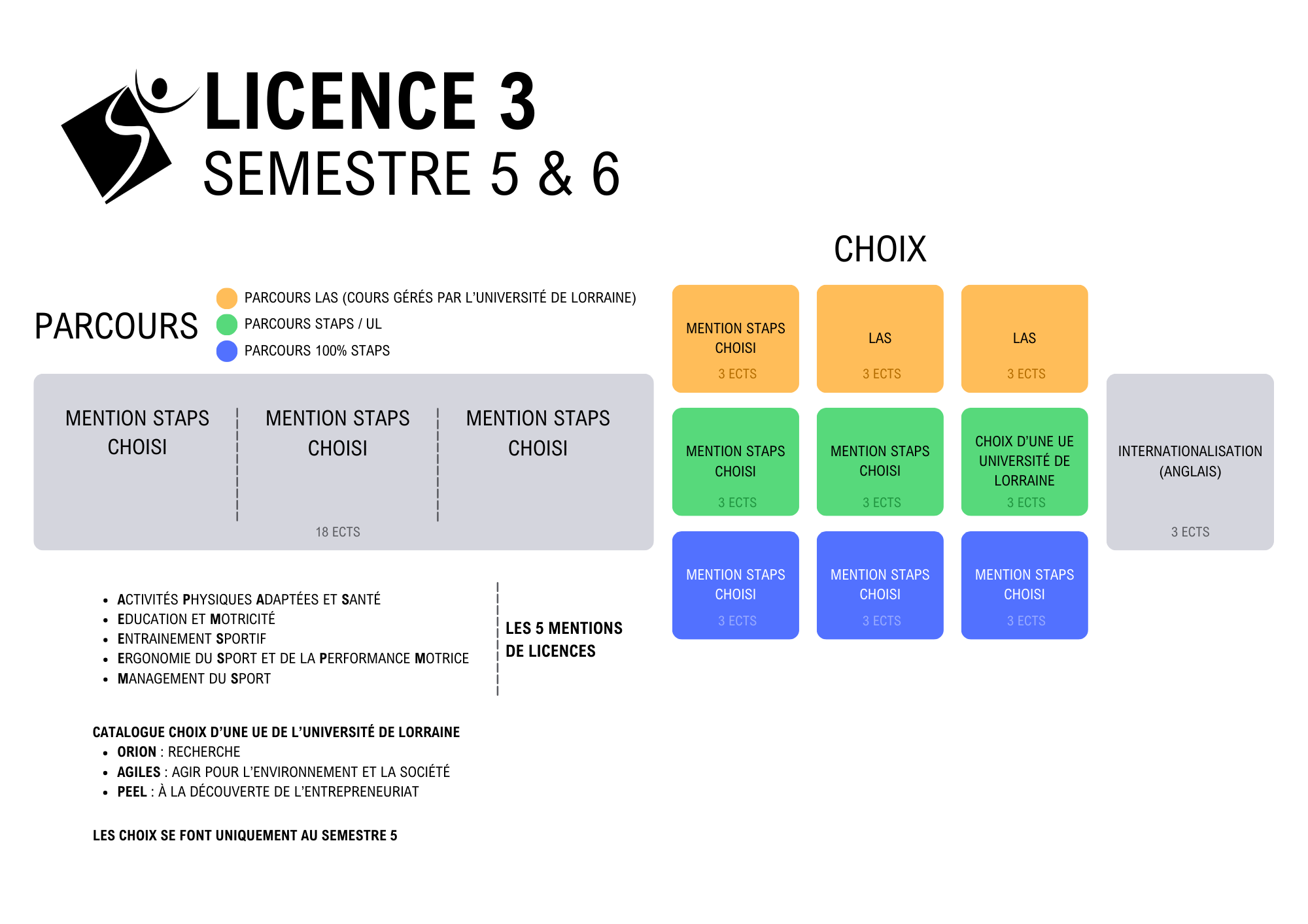Maquette Licence 3 Semestre 5 & 6 UFR STAPS